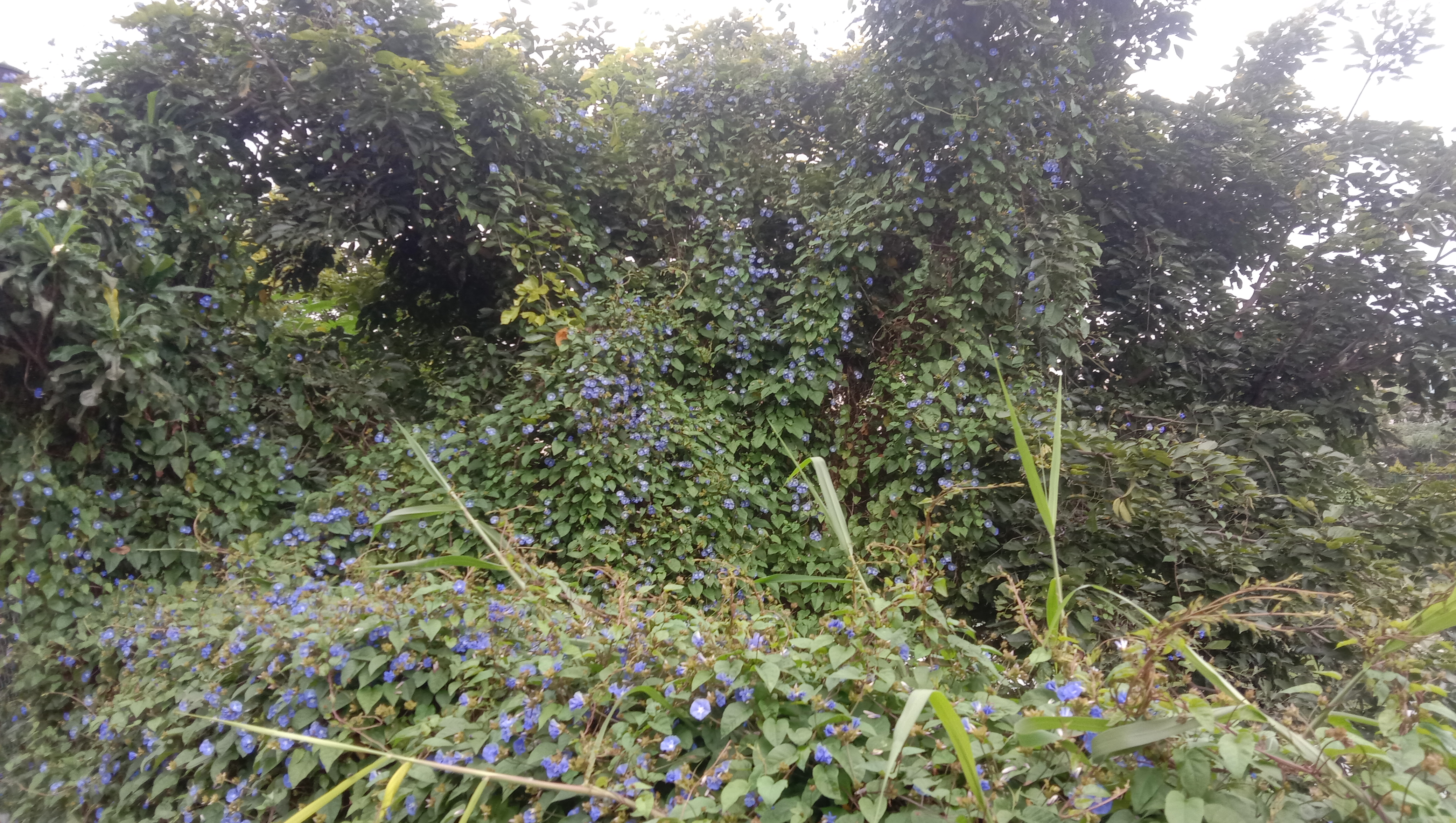 Image 16