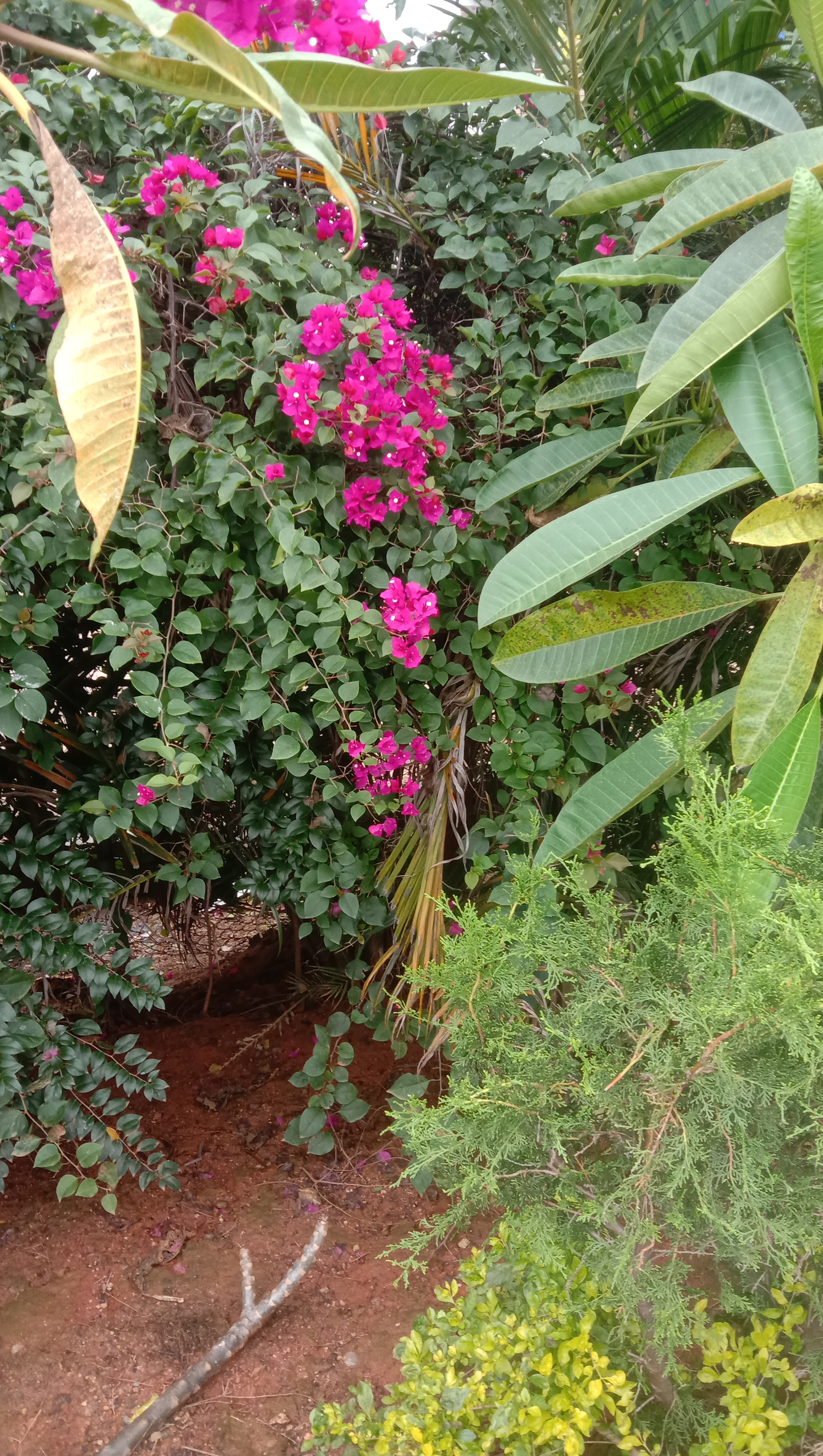 Image 17