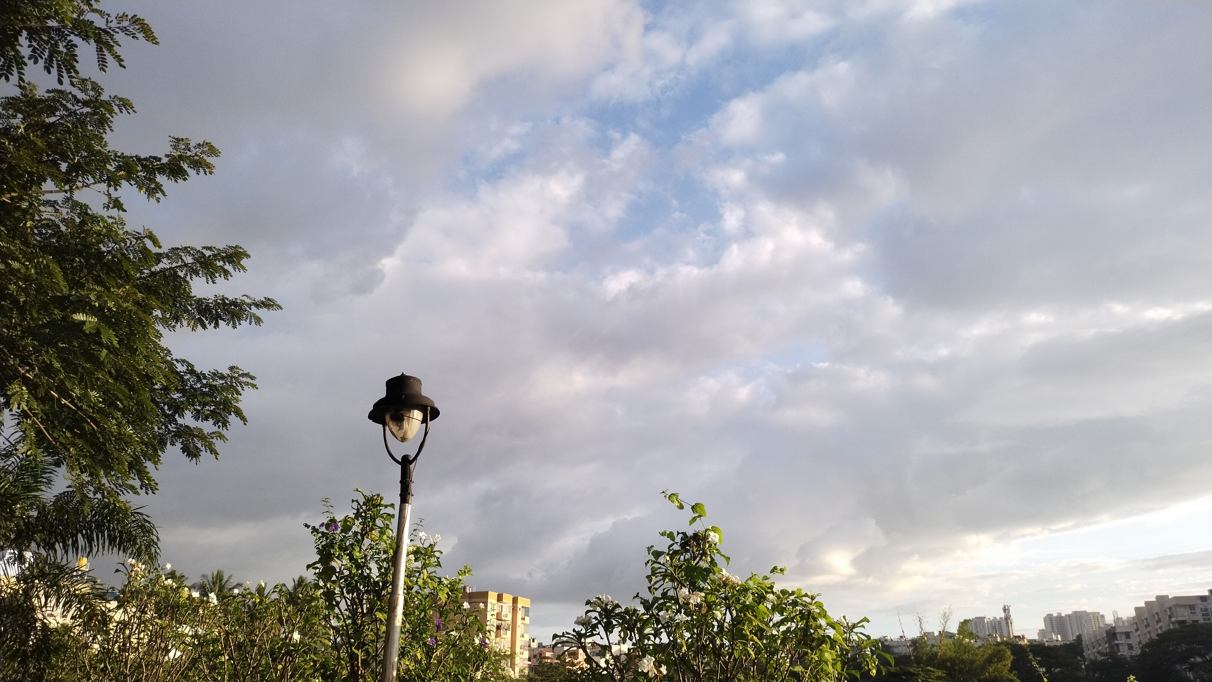 Image 24